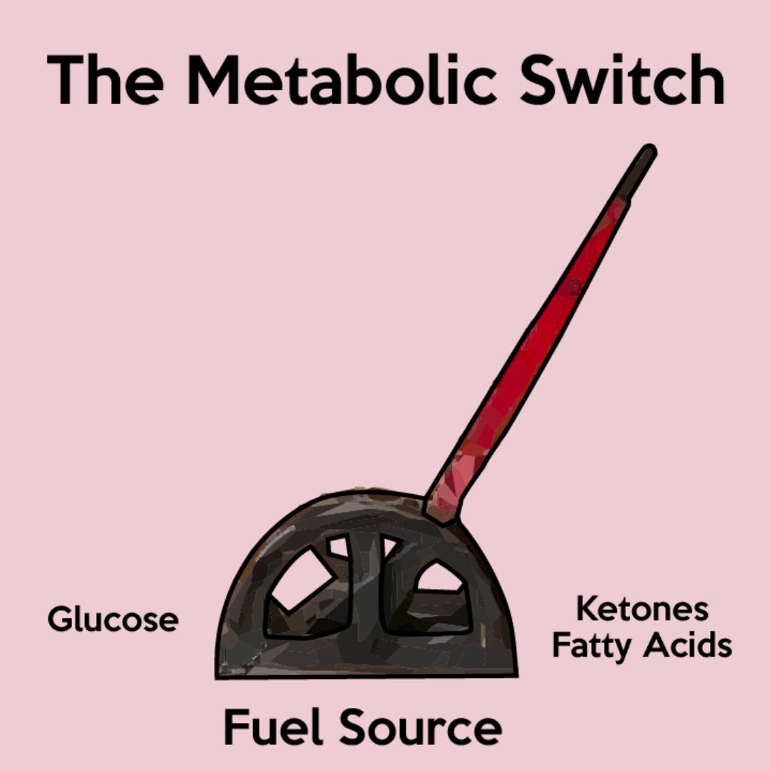 A pink image shows in black text the words "The Metabolic Switch." A gas gauge is shown, and the top red part leans toward the right. The bottom words read "Fuel Source." To the left is the word Glucose, and to the right are the words Ketones Fatty Acids.